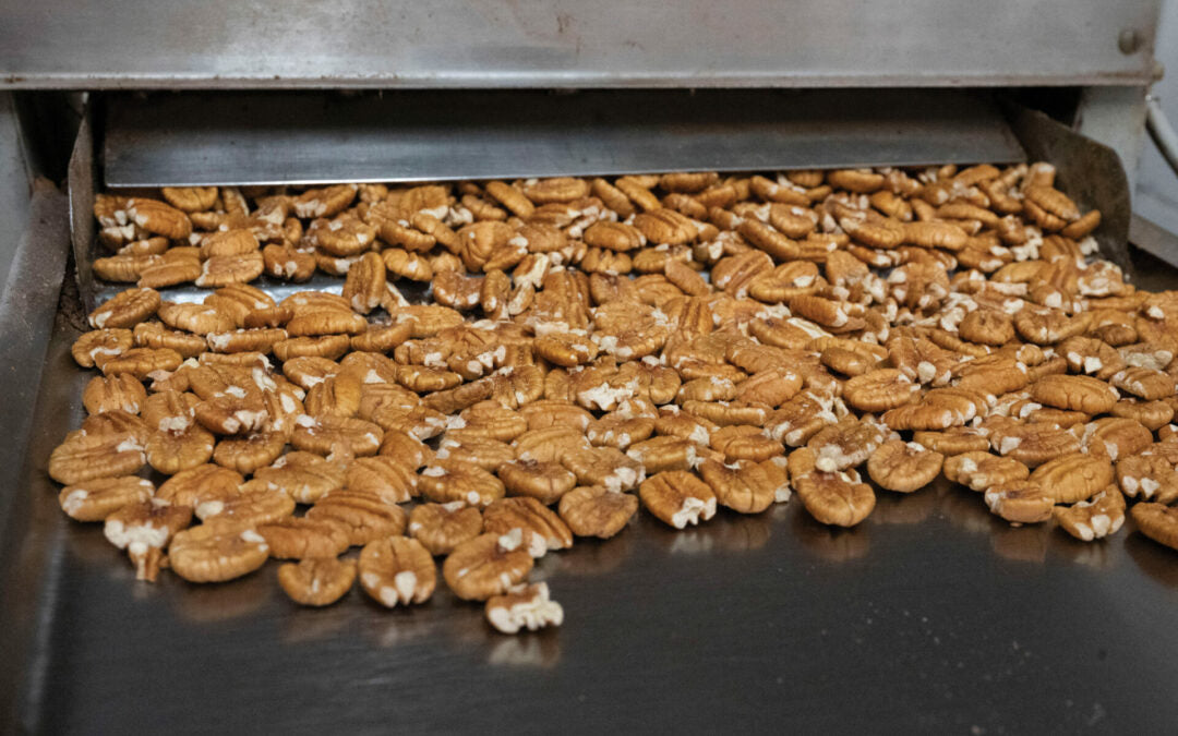 Missouri Native Pecan Halves